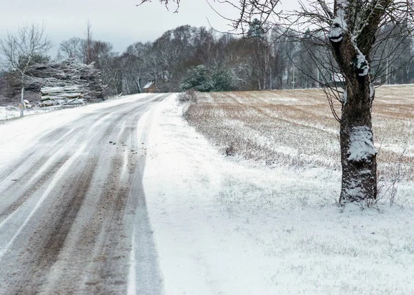 Paisagem Inverno Com Uma Estrada Campo Nevado Árvores Cobertas Neve — Fotografia de Stock