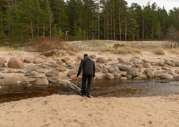 Hombre Cruza Pequeño Río Través Troncos Árboles Orilla Del Mar —  Fotos de Stock