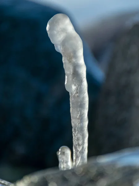 Mar Vento Formaram Formações Abstratas Junco Seco Congelado Fragmentos Icicles — Fotografia de Stock