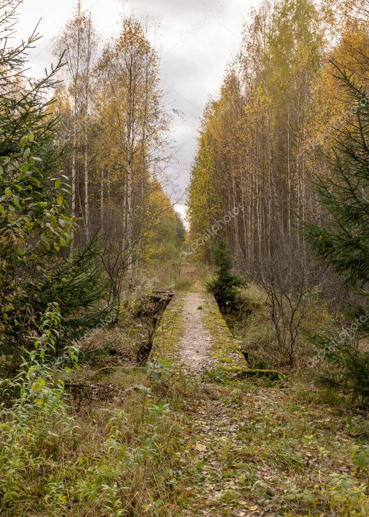 Осенняя Железная Дорога Фото