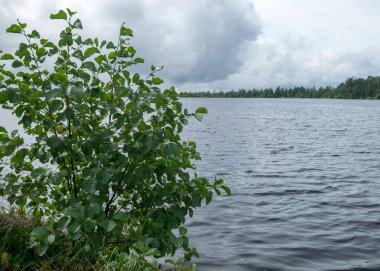 Göl kıyısı ve su manzarası, bulutlu gökyüzü, sisli ve yağmurlu hava, sonbahar doğası