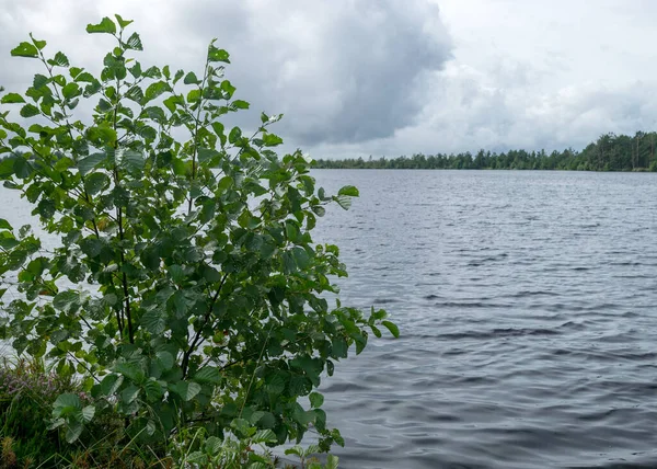 Göl kıyısı ve su manzarası, bulutlu gökyüzü, sisli ve yağmurlu hava, sonbahar doğası