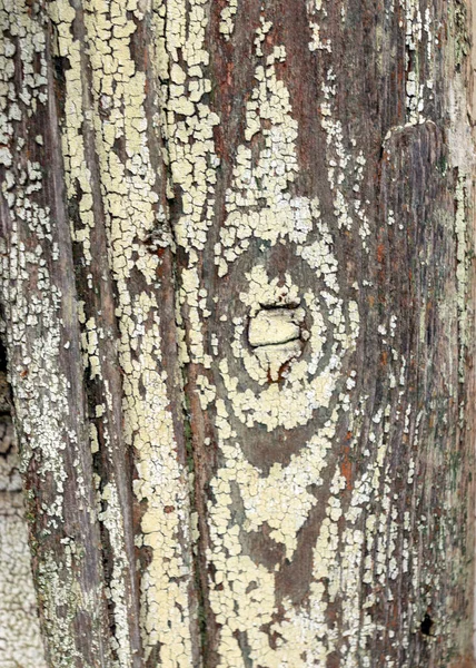 Abstract Image Old Color Texture Old Wooden Board Wall Beautiful — Stock Photo, Image