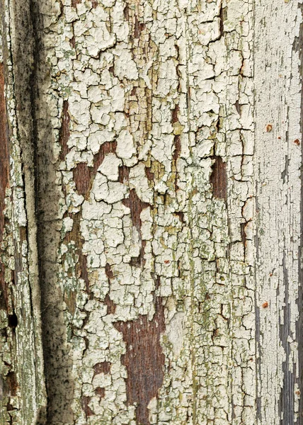 Abstract Image Old Color Texture Old Wooden Board Wall Beautiful — Stock Photo, Image