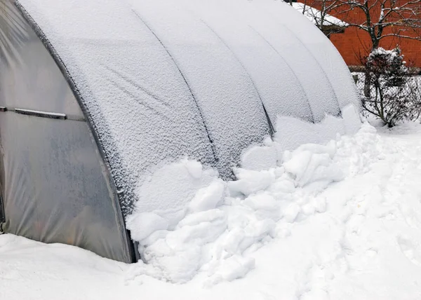 Τοπίο Ένα Θερμοκήπιο Ταινία Χιόνι Στο Θερμοκήπιο Ημέρα Του Χειμώνα — Φωτογραφία Αρχείου
