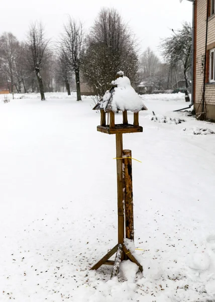 Snowy Bird Feeder Seeds Bird Feeder Winter Snowy Garden Winter — Stock Photo, Image