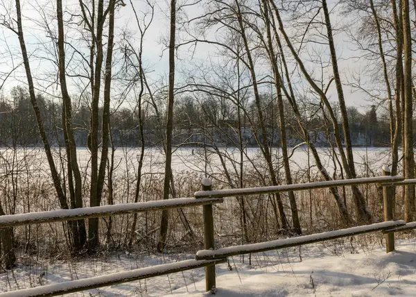 Floresta Inverno Depois Nevasca Pesada Paisagem Inverno Dia Uma Floresta — Fotografia de Stock