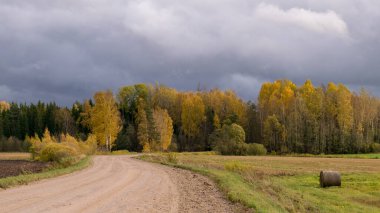 Arka planda renkli sarı ağaçların olduğu sonbahar manzarası, ön planda toprak yol, altın sonbahar, anlamlı gökyüzü, sonbahar zamanı, Letonya