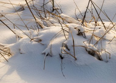 Soyut kar dokusu, kar ve donmuş çimenler, kardaki gölgeler, kış zamanı.