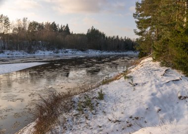 Kışın nehir manzarası, ağaçlarla kaplı nehir kıyısı, nehirde buz, kış günü, Gauja, Letonya