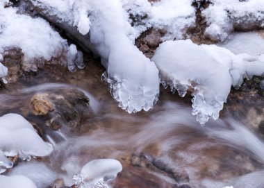 donmuş hızlı akan kaynak suyu, buzlu kayalar ve su akıntısı, buzlu ağaç kökleri, güzel buz ve su dokusu, Kazugrava yedi bahar akıntısı, Cesis, Letonya