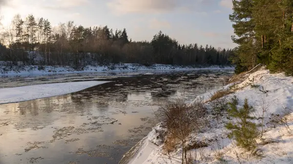 landscape with river in winter, tree-lined river bank, ice on the river, winter day, Gauja, Latvia