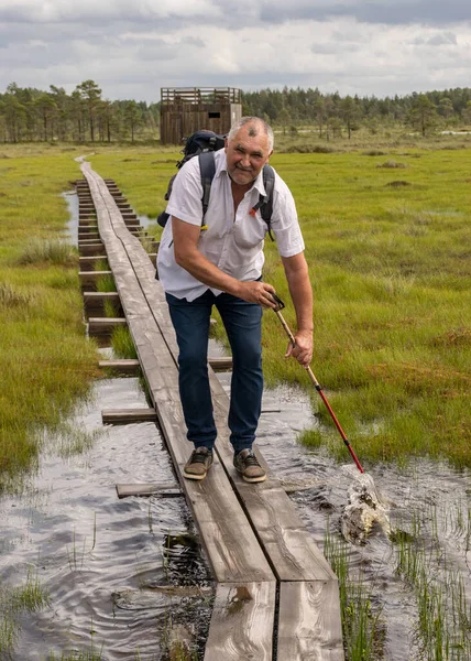 Paisaje Pantano Verano Hombre Con Una Camisa Blanca Camina Por —  Fotos de Stock