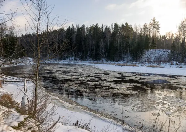 landscape with river in winter, tree-lined river bank, ice on the river, winter day, Gauja, Latvia