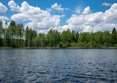 Nehrin üzerinde beyaz kümülüs bulutları, suda yansımaları olan güzel bir yaz manzarası.
