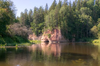 Nehirde güzel bir sabah, sudaki kıyı ve ağaç yansımaları, Gauja nehri, Letonya