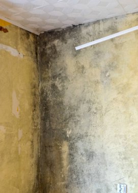 Odanın köşesindeki fotoğraf küflenmiş, tavan şeridi sökülmüş, apartman onarım konsepti...