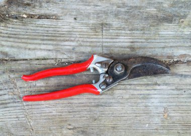 Ahşap arka planda antik demir makaslı fotoğraf paslı aletler, metal atıkları, hurda metaller.