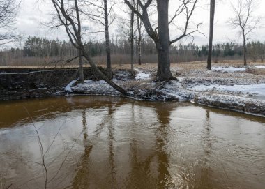 Küçük bir nehri olan bahar manzarası, doğada soğuk hava, yerde kar parçaları, çıplak ağaç siluetleri.