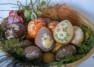 Hasır bir sepette süslenmiş Paskalya yumurtaları, geleneksel dekorasyon yumurtaları, doğal taze yapraklarla süslenmiş paskalya yumurtaları ve soğan kabukları ve yabanmersinli böğürtlenlerle kaynatılmış.