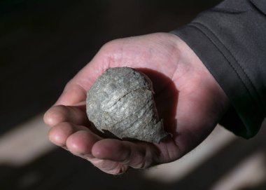 Bir adamın avuç içi resmi ve üzerinde boş bir eşek arısı sapı olan bulanık bir arka plan.