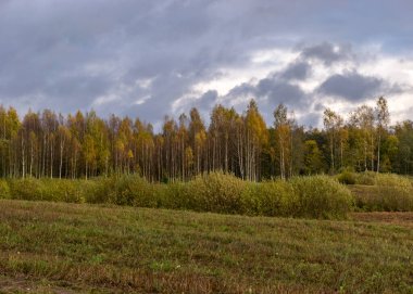 Arka planda renkli sarı ağaçların olduğu sonbahar manzarası ön planda, altın sonbahar, anlamlı gökyüzü, sonbahar zamanı, Letonya