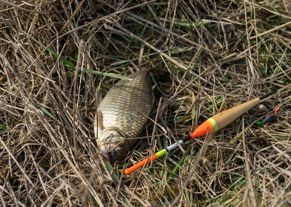 Fotózás Egy Körhinta Partján Halászat Mint Egy Hobbi Kora Tavasszal — Stock Fotó