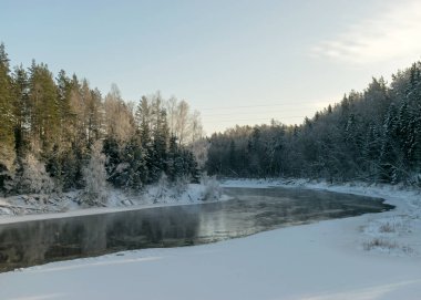 Nehir kıyısında kış günü, karla kaplı ağaçlar ve nehir kenarındaki çimenler, sudaki yansımalar, güzel kış manzarası, Gauja nehri, Letonya