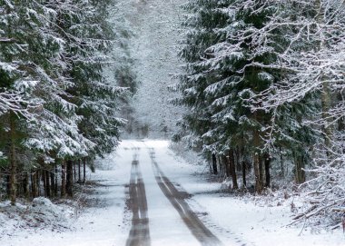 Kış manzarası karlı bir kır yolu ve yol kenarında karla kaplı ağaçlarla, kış günü