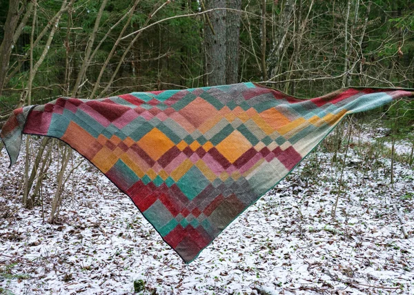 五彩缤纷的针织围巾 手工编织 针织概念 冬季森林背景 — 图库照片