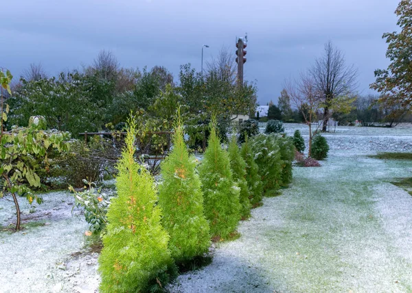 Paysage Avec Première Neige Dans Jardin Cour Intérieure Neige Sur — Photo