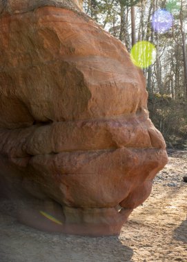 Vidzeme kıyısındaki en etkileyici ve renkli kumtaşı uçurumları olan kayalıkları, aşındırıcı mağaraları, mağaraları, mağaraları, mağaraları ve diğer oluşumları, Salacgriva, Letonya