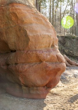Vidzeme kıyısındaki en etkileyici ve renkli kumtaşı uçurumları olan kayalıkları, aşındırıcı mağaraları, mağaraları, mağaraları, mağaraları ve diğer oluşumları, Salacgriva, Letonya