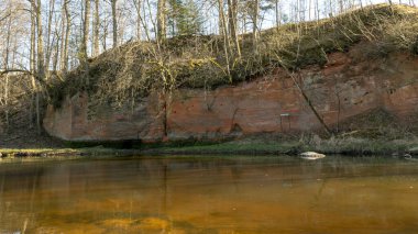 Nehir kıyısında kırmızı kumtaşı çıkıntısı olan manzara, vahşi bir nehrin kıyısında dik kıyı, suda güzel yansımalar, doğada bahar, yapraksız çıplak ağaçlar, Abuls nehri, Letonya