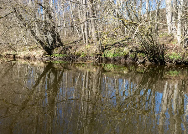 Pohled Břehy Malé Divoké Řeky Jaře Holé Stromy Odrazy Vodě — Stock fotografie
