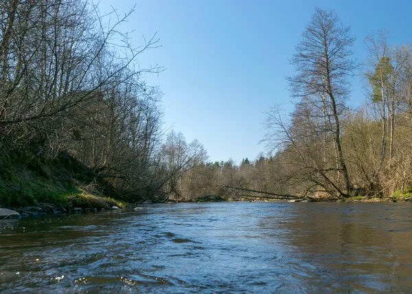 Весною Бачимо Береги Маленької Дикої Річки Голі Дерева Відображення Воді — стокове фото
