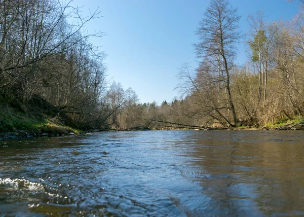 Весною Бачимо Береги Маленької Дикої Річки Голі Дерева Відображення Воді — стокове фото