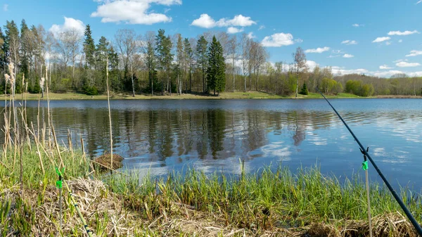 Весенний Пейзаж Озером Рыбалка Берегу Озера Спокойная Водная Поверхность Деревьями — стоковое фото