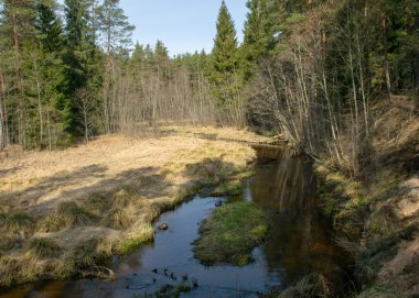 İlkbaharın başlarında küçük, vahşi bir nehir, çıplak ağaçlar, sudaki yansımalar, nehir kıyısındaki kuru çimenler, Stikupe, Vaidava, Letonya