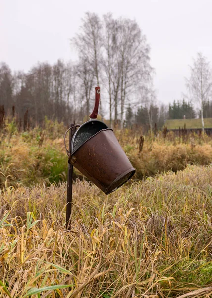 Traditionell Flodbanksvegetation Hösten Olika Vass Och Gräs Älvstranden Kala Träd — Stockfoto