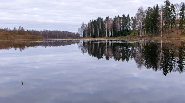 Mittemot Sjön Hösten Mulen Himmel Sen Höst Kala Trädsiluetter Och — Stockfoto