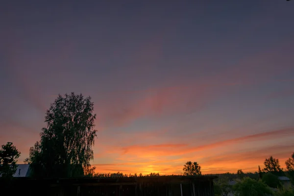 Färgglada Solnedgång Himmel Och Svart Träd Silhuetter Sommartid — Stockfoto