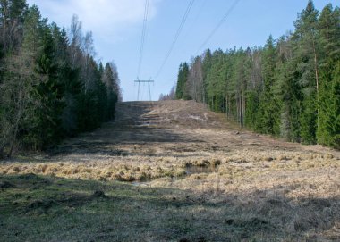 Kuru çimenler ve yaprakları olmayan çıplak ağaçlarla erken bahar manzarası, yüksek voltaj hattı ve küçük bir nehrin üzerinde yakalama, bahar