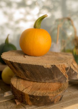 Sonbahar kompozisyonu çeşitli sonbahar meyveleri, elmalar, kabaklar ve armutlar, sonbahar arkaplanı