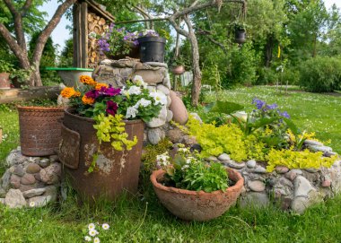 Tencerelerde renkli bahçeler, çiçek açan bitkiler ve yaz bahçesinde çiçekler.