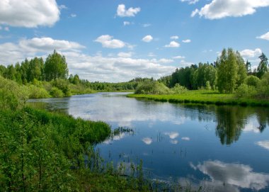 Nehirden gelen renkli yaz manzarası, sudaki bulut yansımaları, nehir kıyısındaki yeşil ağaçlar ve çimenler, Sedas Nehri, Letonya