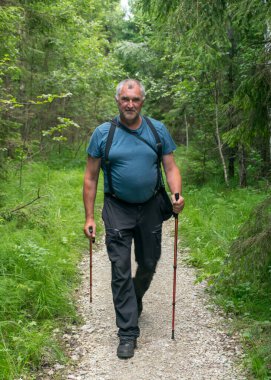 Orman yolunda yürüyen bir adamla yaz manzarası, güzel yeşil yaz manzarası.