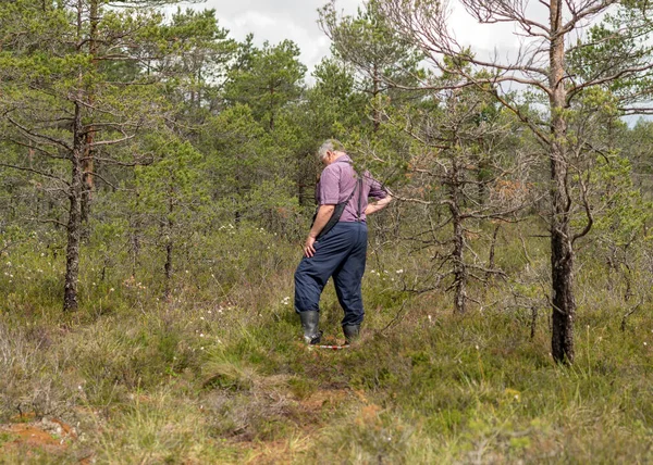 Hombre Disfruta Paisajes Pantanosos Caminata Pantano Con Raquetas Nieve Plantas —  Fotos de Stock