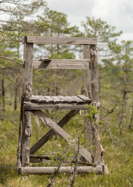 Enkelt Trä Jakttorn Mossen Jaktkoncept Traditionella Mossväxter Mossbakgrund Träsk Struktur — Stockfoto