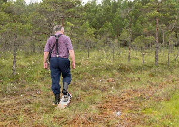 Hombre Disfruta Paisajes Pantanosos Caminata Pantano Con Raquetas Nieve Plantas —  Fotos de Stock